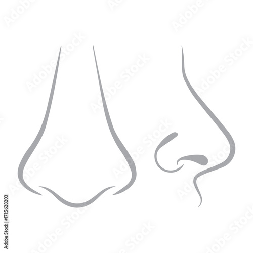 Human Nose Icon