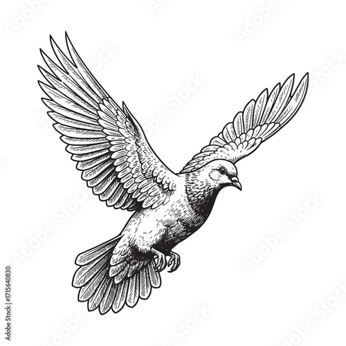 flying dove bird engraving woodcut sketch vector illustration