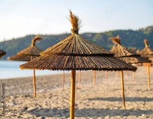 Straw beach umbrellas on a sandy beach at dawn