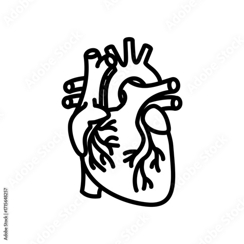 Line icon of human heart. Minimal outline vector for anatomy, cardiology, circulatory system, and healthcare concept