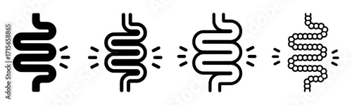 Icons of Intestines: Simple, Detailed, and Cellular Representations