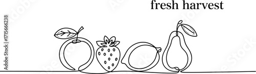 Whimsical line art fruits with "fresh harvest" text concept for healthy eating and organic food themes vector