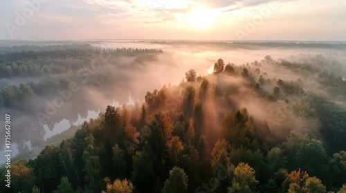 Serene Morning Sunrise Over Misty Forest Landscape with Golden Rays of Light