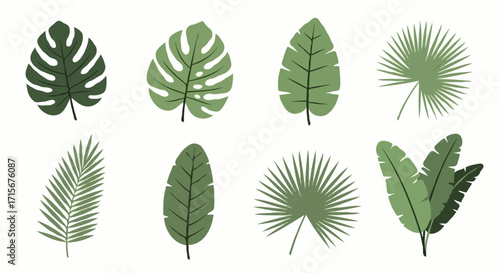 Tropical leaf assortment brings a vibrant touch to summer designs and nature-inspired projects