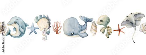 Photography Cute sea animals Starfish Shell Adorable underwater world
