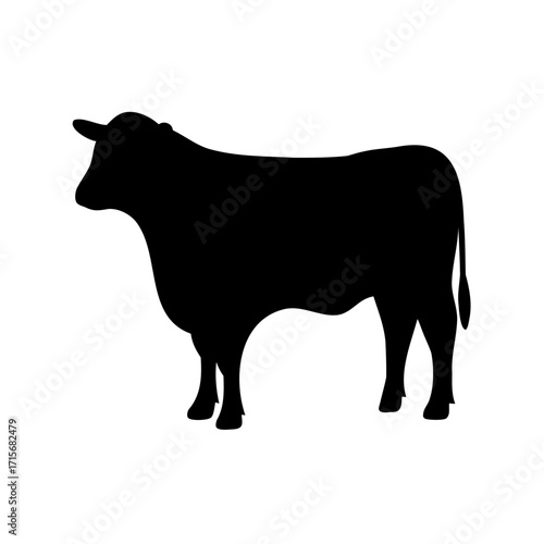 Black silhouette of a beef cattle cow, standing on a white background