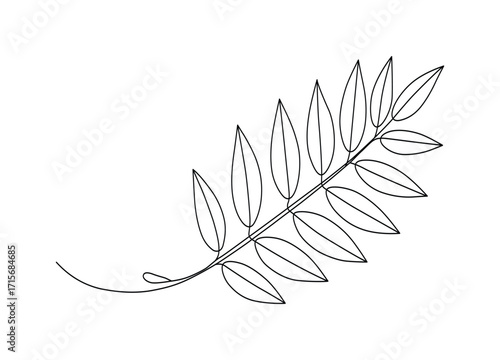 Elegant botanical illustration of a fern frond with simple line art on a clean white background great for minimal design and logo concepts