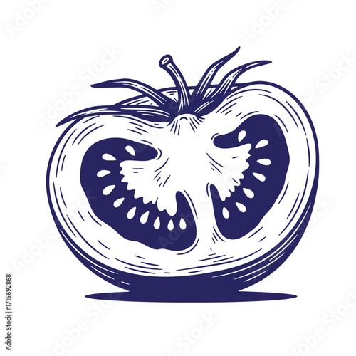 Detailed hand drawn illustration of a fresh ripe tomato cut in half isolated