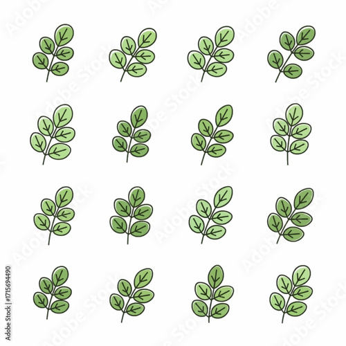 Set of hand-drawn green plant leaves, isolated on white background, stylized vector illustration for design