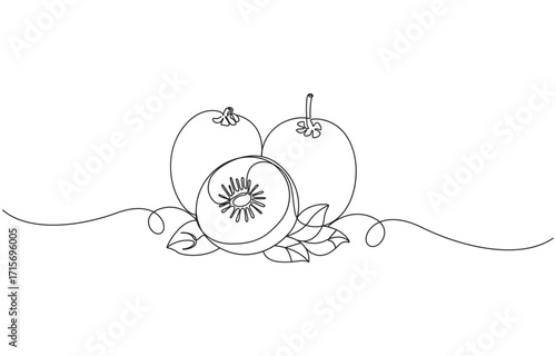 one line art Kiwi vector illustration. line art, one continuous line, simple, kiwi fruits continuous line art drawing, Kiwi Fruit Line Drawing with Sliced Fruit and Leaves