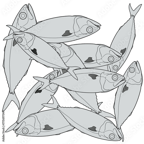 Mackerels Vector Illustration