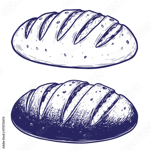 Hand drawn illustration of two fresh loaves of bread in detailed sketch style on white