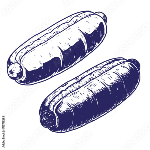 Two hand drawn vintage style hot dogs illustration isolated on a white background