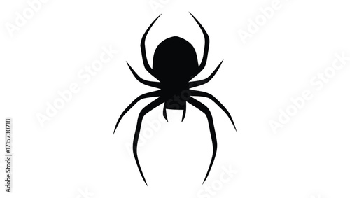 Silhouette of a black spider with eight legs on a white background, representing a common arachnid and a symbol of danger or creativity in various cultures
