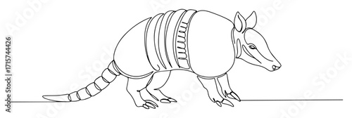 armadillo standing line art vector