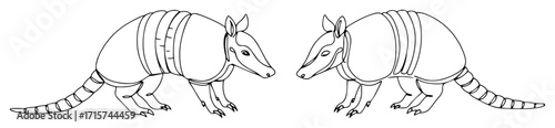 two armadillos walking line art illustration