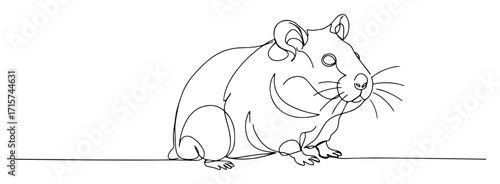 hamster sitting