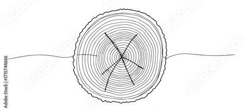 tree trunk cross section with rings