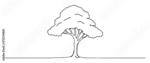 large deciduous tree with thick crown monoline vector art