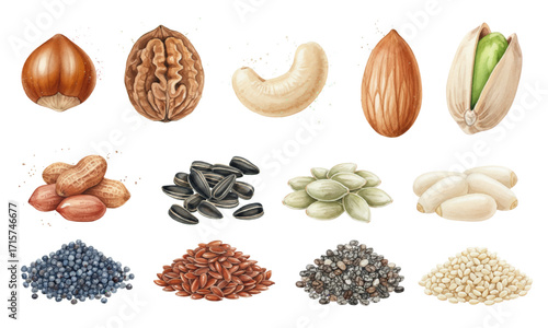 Watercolor Healthy Nuts and Seeds Collection