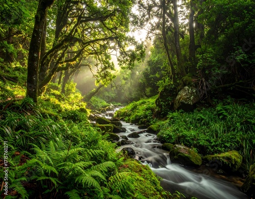 Lush forest stream bathed in sunlight