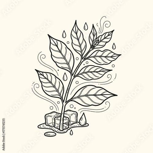 Coffee plant with ice cubes and water drops line art illustration.