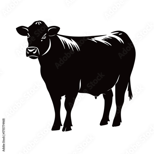 A healthy black cow stands in an open field under sunlight, with its glossy coat reflecting light. The cow looks alert and robust, grazing peacefully nearby.