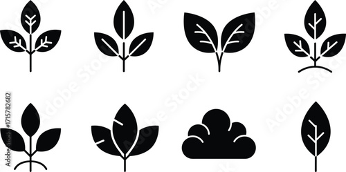 Black and white plant icon illustration, stylized leaf shapes with vein details and abstract foliage, cad drawing flat vector illustration