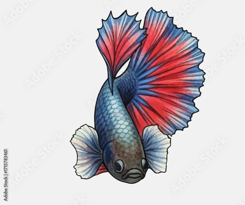 Adobe Illustrator Artwork