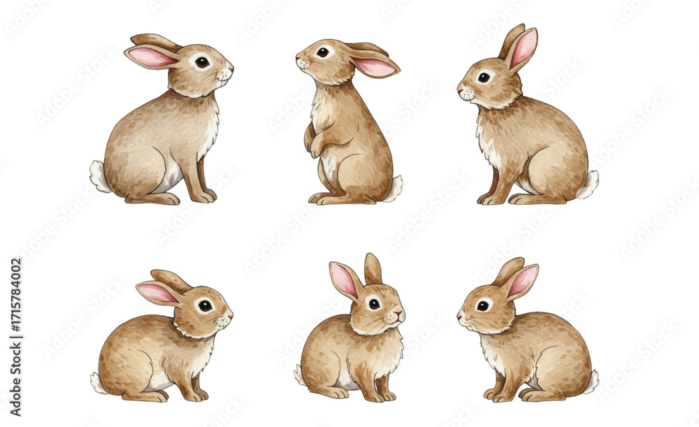 Fototapeta premium Adobe Illustrator Artwork