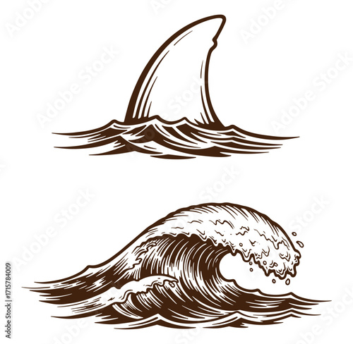 Vintage vector illustration of a shark fin and a surfing wave design element
