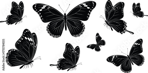 Black silhouette butterfly illustration, diverse wing shapes and poses, artistic insect design for nature themes, cad drawing flat vector illustration