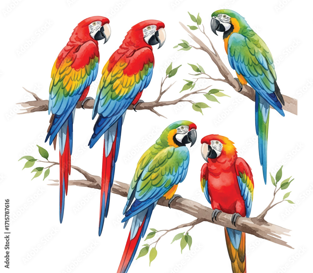 Obraz premium Adobe Illustrator Artwork