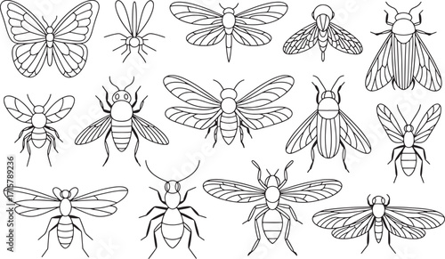 Detailed Line Art Insect Collection Vector Illustration Featuring Butterfly, Dragonfly, Bee and Moth