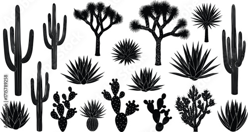 Desert plant silhouette vector set, cactus and tree shapes, black botanical design, nature illustration, cad drawing flat vector illustration