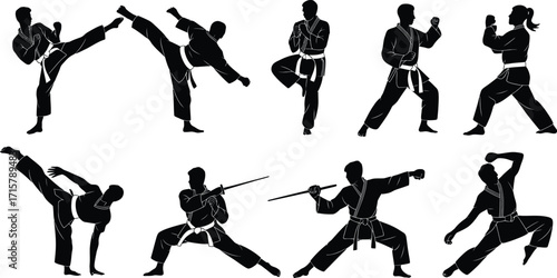 Dynamic Martial Arts Silhouettes Collection Diverse Karate Poses and Fighting Stances on Transparent Backdrop