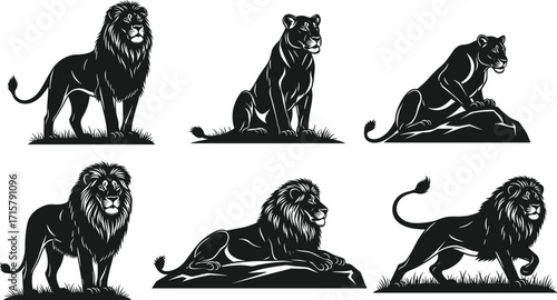 Lion and lioness illustrations in majestic poses, black and white wildlife art, anatomy reference for design, nature-inspired visuals