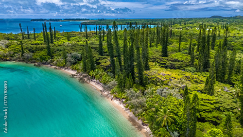 Fotografie A beautiful aerial perspective flying over the lush canopy of columnar pines towards a pristine beach and turquoise lagoon on the Isle of Pines, New Caledonia