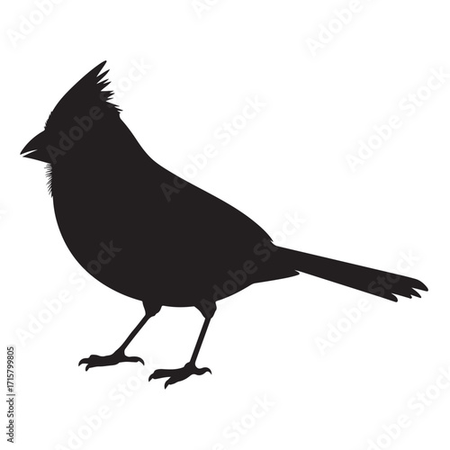 Cardinal Bird Silhouette – Black Bird Profile Design for T-shirt, SVG, and Digital Art