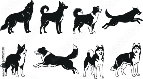 Husky Dog Silhouettes Collection, Black and White Vector Icons, Pet Animal Design, Standing, Running, Howling, Side View