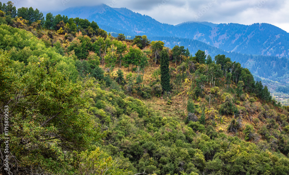 Fototapeta premium mountain landscape in the mountains