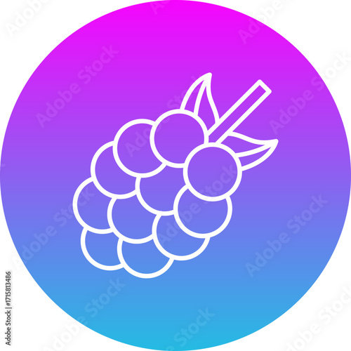Berries Icon