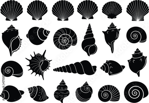 Seashell silhouette set, black and white shell icons, marine shell vector, conch shell illustration, scallop shell graphic, ocean shell design