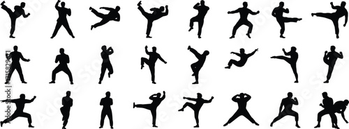 Martial arts silhouette poses – vector set of combat stances, kicks, punches, and defensive movements for training, choreography, and design