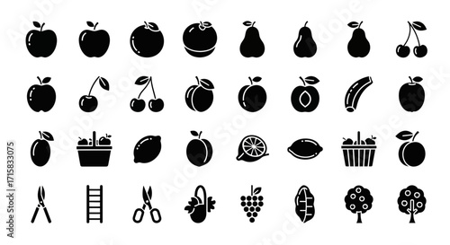 Clean Line Art Silhouettes of Orchard Fruits and Cultivation Tools