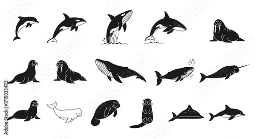 Marine Mammal Silhouettes: Leaping Dolphin, Breaching Orca, Walrus
