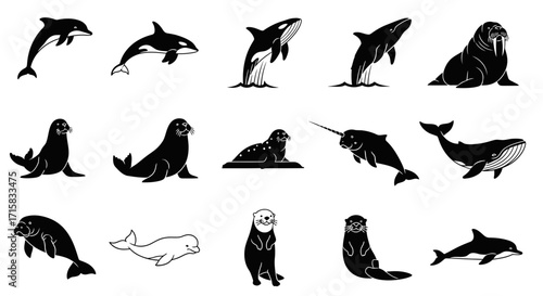 Marine Mammal Silhouettes: Leaping Dolphin, Breaching Orca, Walrus