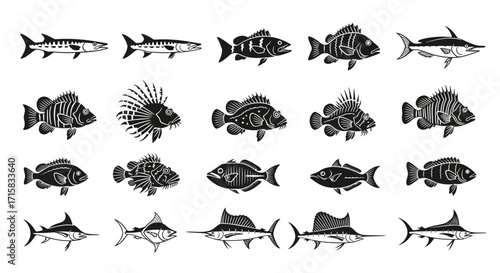 Common Predatory Fish Silhouettes: Barracuda, Grouper, Lionfish, Marlin Set