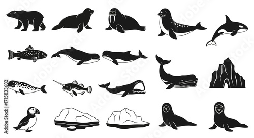 Arctic Marine Life Silhouettes: Polar Bear, Walrus, Beluga Whale, Narwhal Set