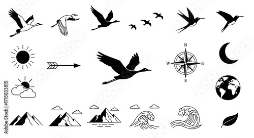 Organic Fluid Silhouettes of Migratory Birds and Directional Symbols